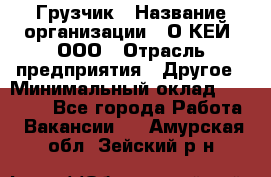 Грузчик › Название организации ­ О’КЕЙ, ООО › Отрасль предприятия ­ Другое › Минимальный оклад ­ 25 533 - Все города Работа » Вакансии   . Амурская обл.,Зейский р-н